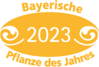 Bayerische Pflanze des Jahres 2023: Alpenglühen